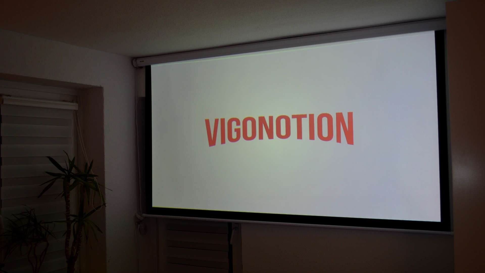 The screen in action, showing a vigonotion logo in the style of Netflix.